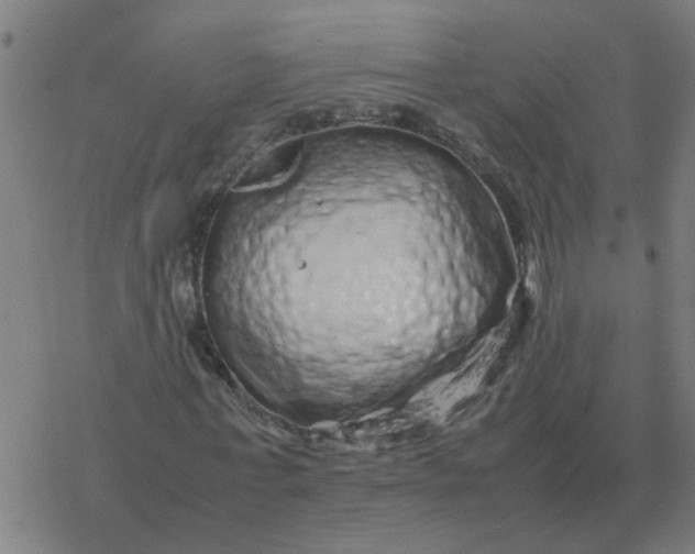 X0000077390771200611101753