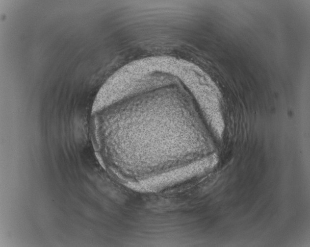 X0000077390772200611101753