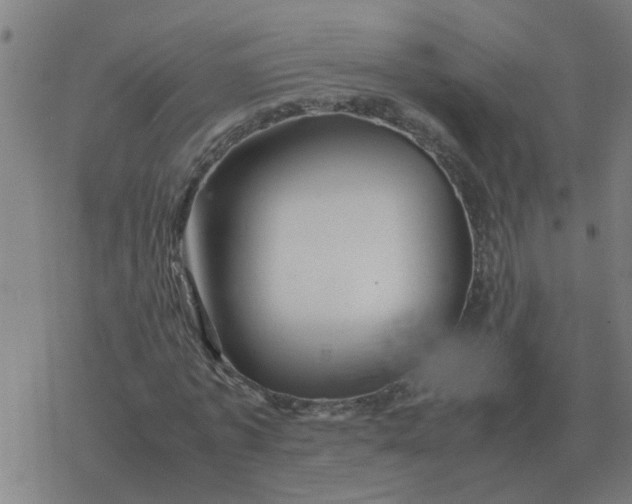 X0000077390773200611101753