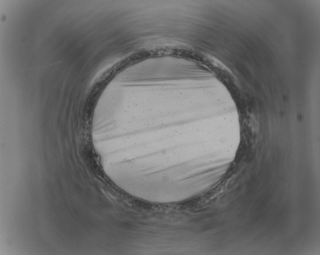 X0000077390775200611101753