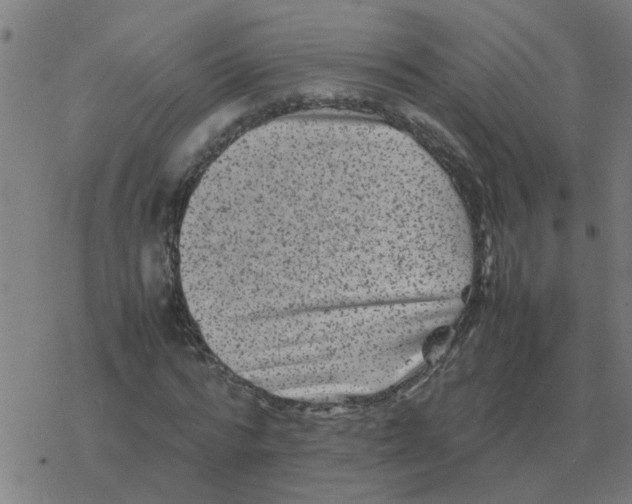 X0000077390776200611101753