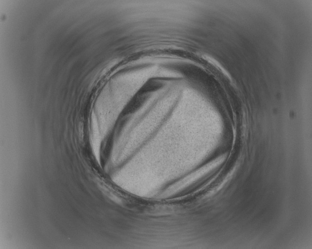 X0000077390777200611101753