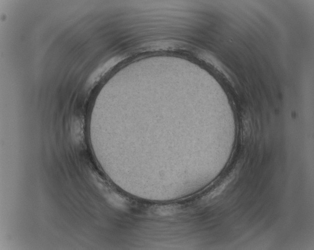 X0000077390778200611101753