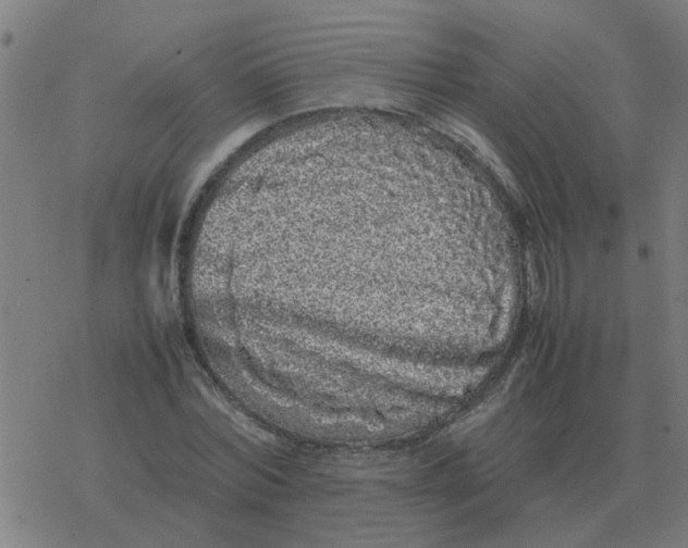 X0000077390780200611101753