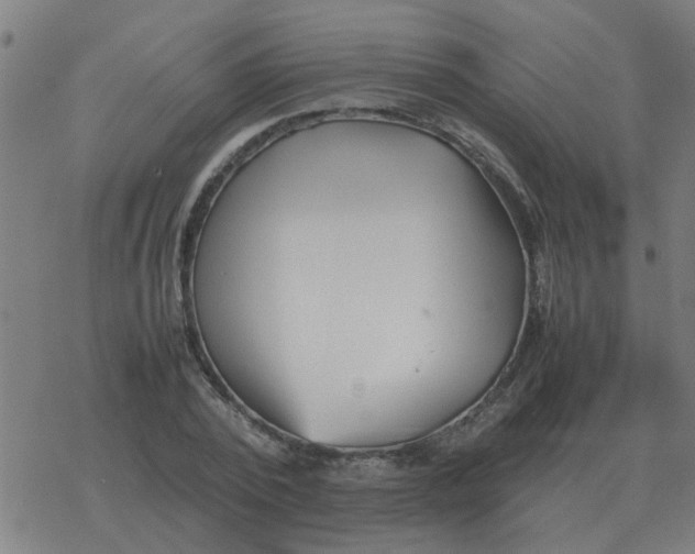 X0000077390784200611101753