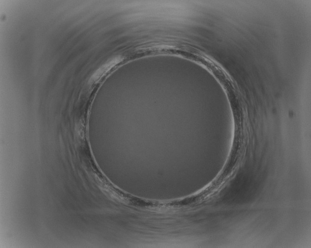 X0000077390785200611101753