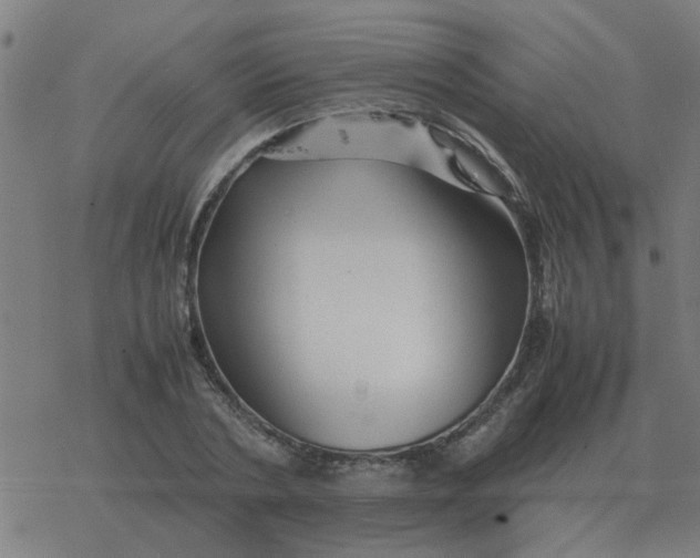 X0000077390786200611101753