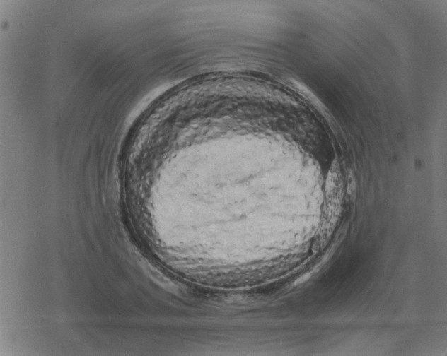 X0000077390787200611101753