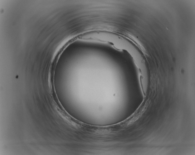 X0000077390788200611101753