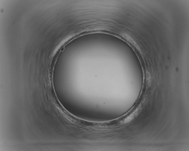 X0000077390789200611101753