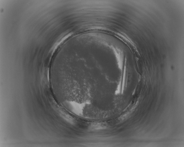 X0000077390790200611101753