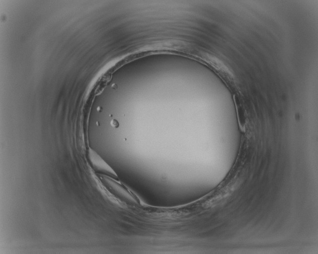 X0000077390792200611101753