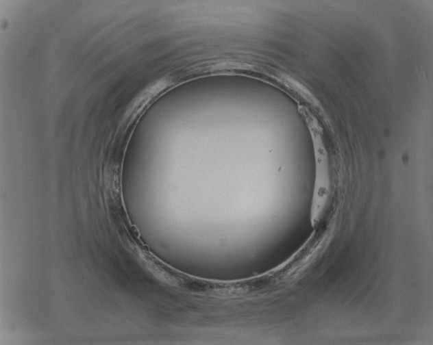 X0000077390793200611101753