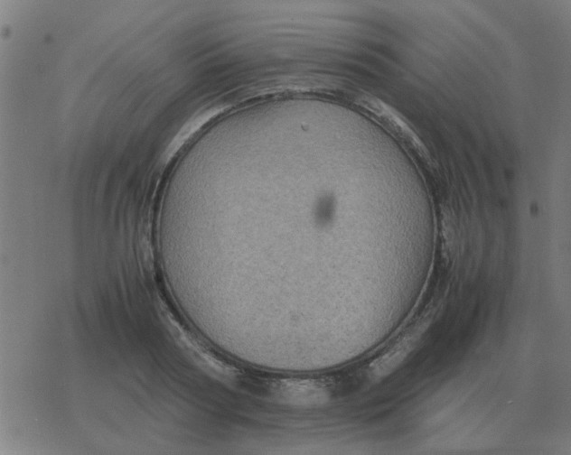 X0000077390794200611101753