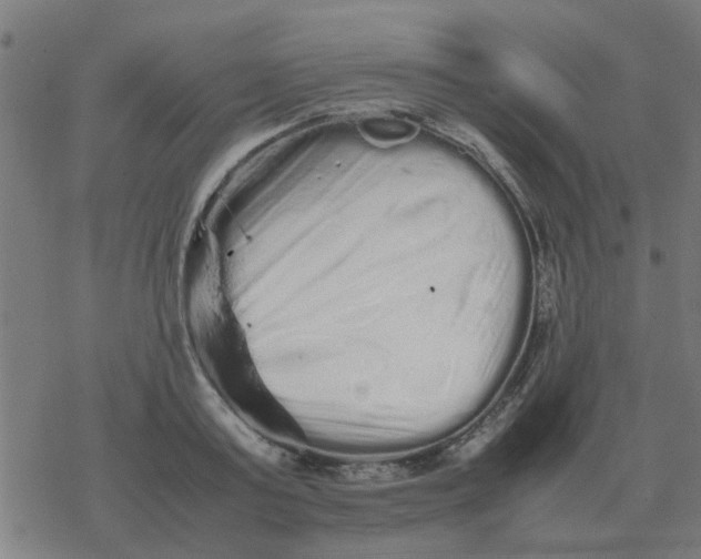 X0000077390795200611101753