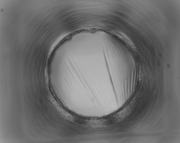 X0000077390796200611101753