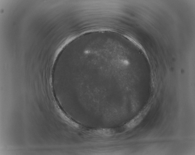 X0000077390797200611101753