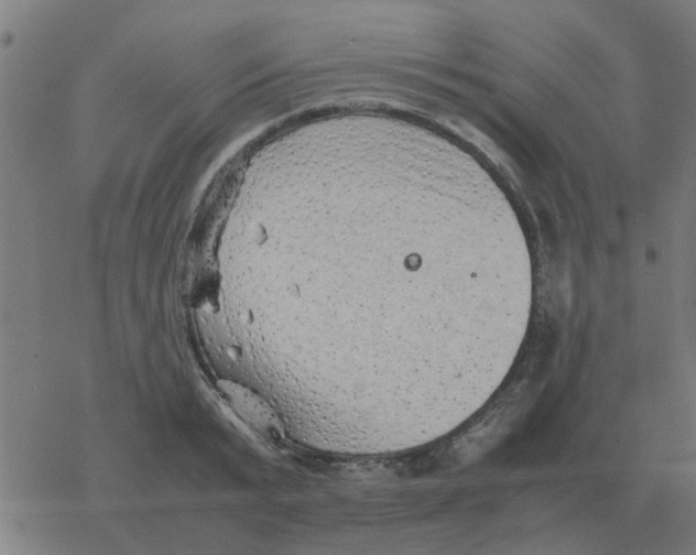 X0000077390799200611101753