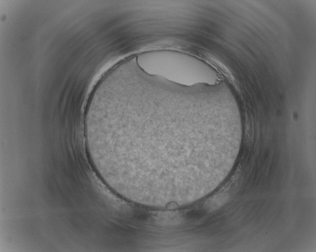 X0000077390800200611101753