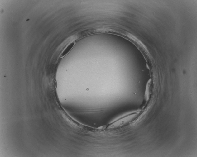 X0000077390801200611101753