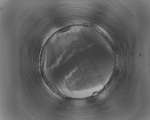 X0000077390802200611101753