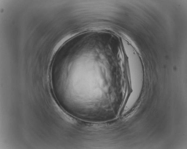 X0000077390803200611101753