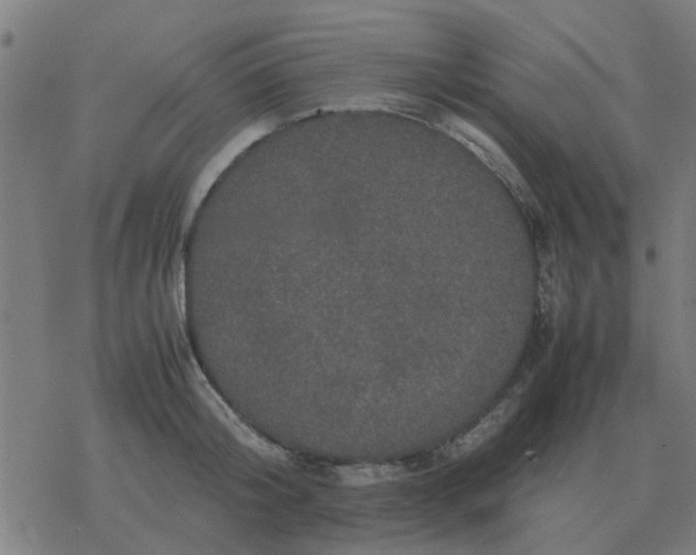 X0000077390804200611101753