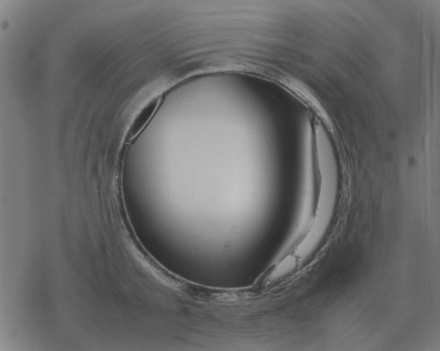 X0000077390805200611101753