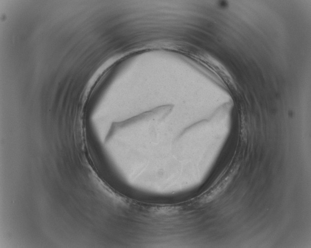 X0000077390808200611101753