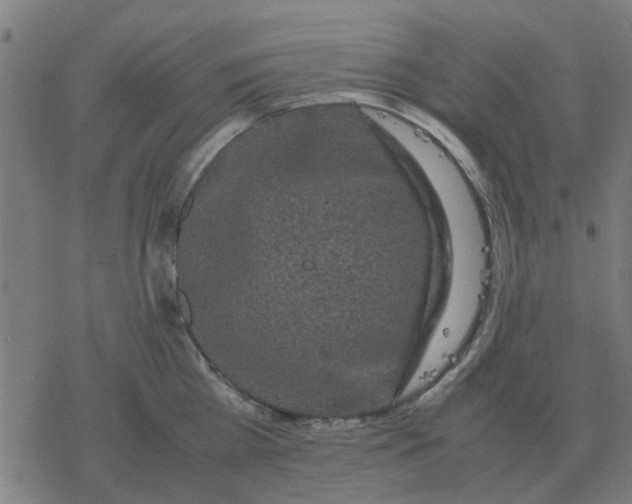 X0000077390809200611101753