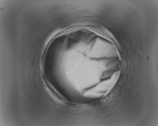 X0000077390811200611101753