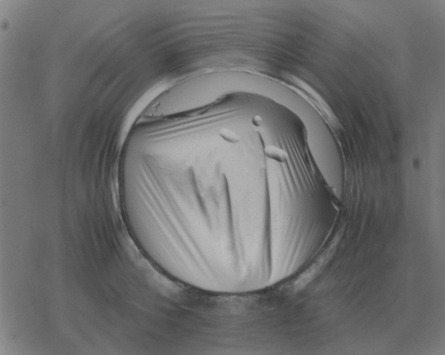 X0000077390812200611101753