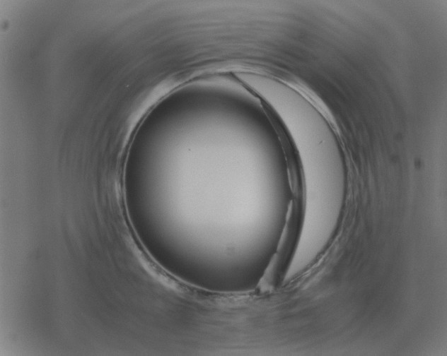 X0000077390813200611101753