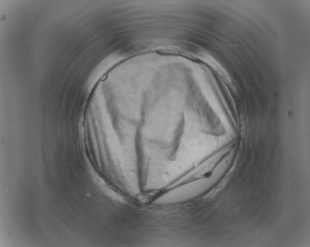 X0000077390814200611101753