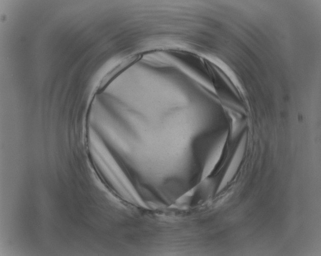 X0000077390815200611101753