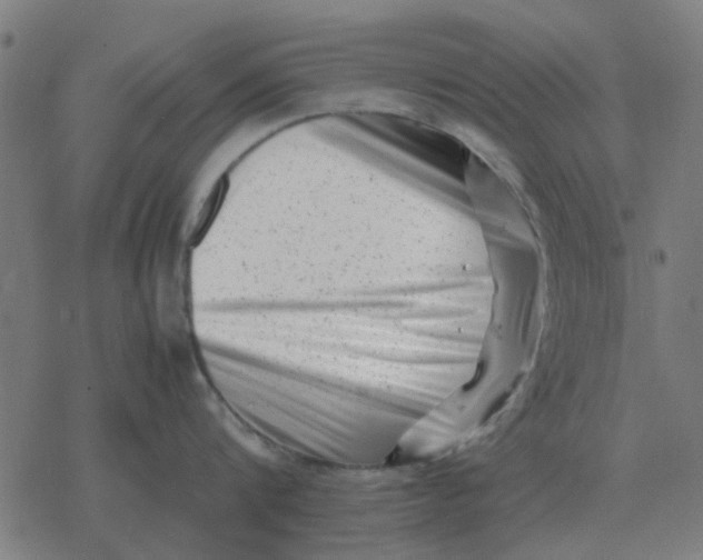 X0000077390816200611101753