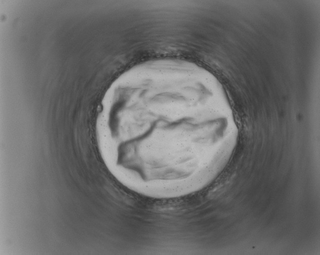 X0000077390817200611101752