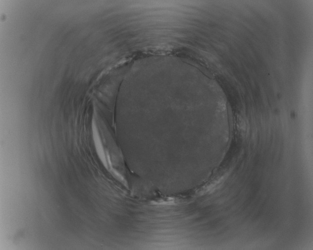 X0000077390818200611101752