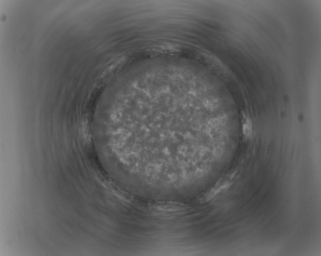 X0000077390819200611101752