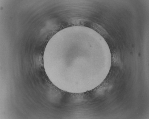 X0000077390820200611101752