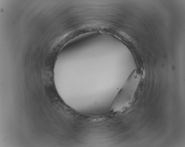 X0000077390822200611101752