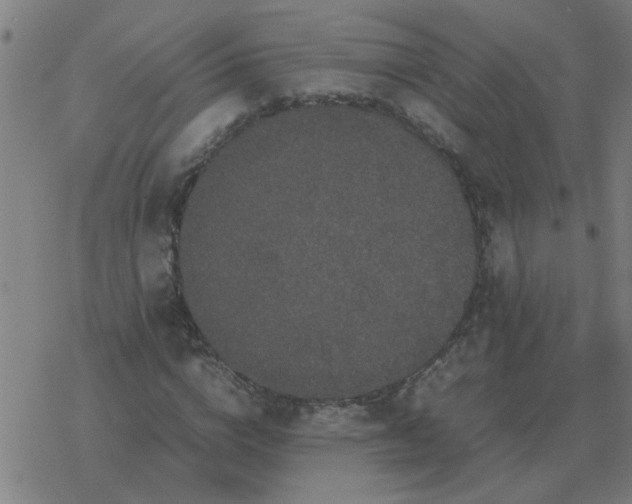 X0000077390824200611101752