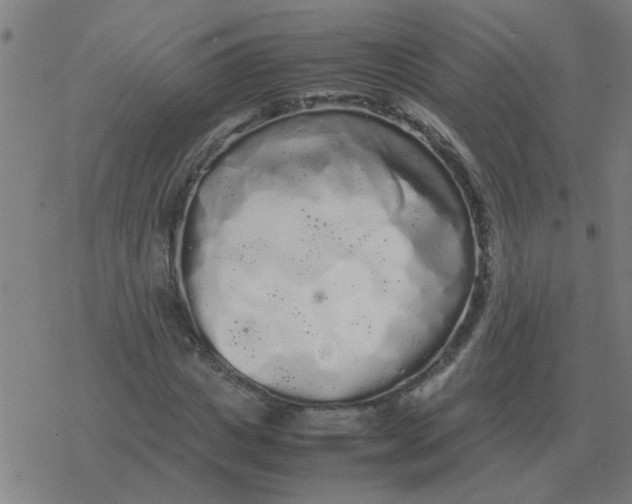 X0000077390825200611101752