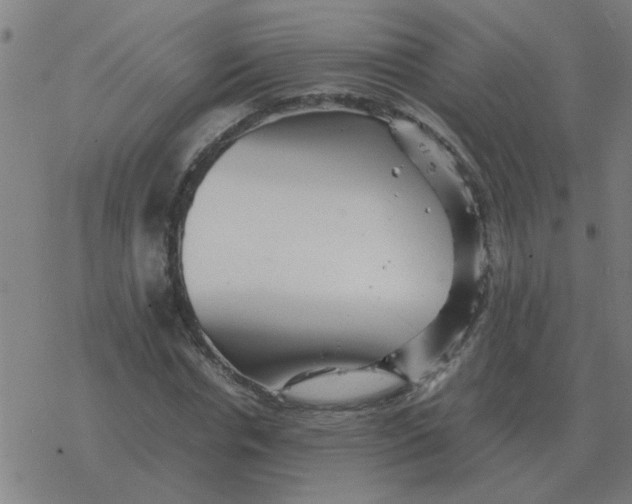 X0000077390826200611101752