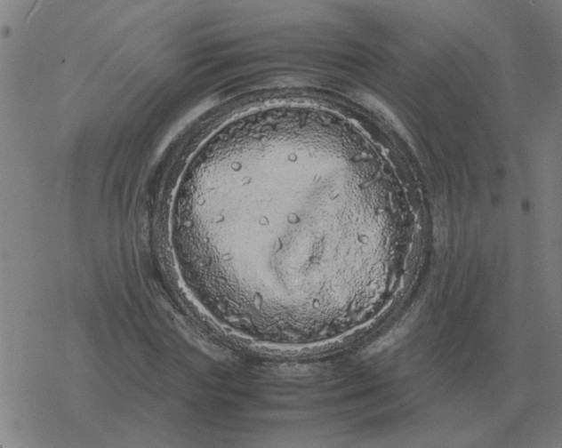 X0000077390827200611101752