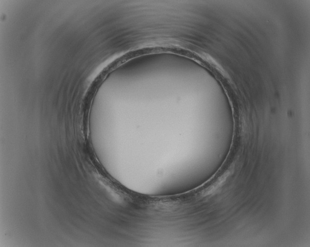 X0000077390830200611101752