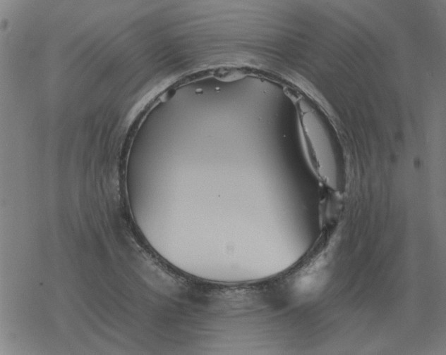 X0000077390834200611101752