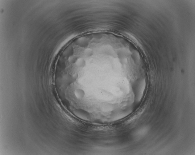 X0000077390835200611101752