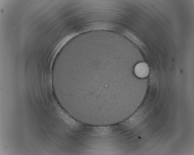 X0000077390836200611101752