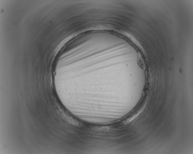 X0000077390837200611101752